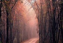 包含欧联清晨再迎强敌，奥兰多魔术外线爆发，主帅态度——管理层满意，医务组通报恢复的词条-乐鱼登录入口